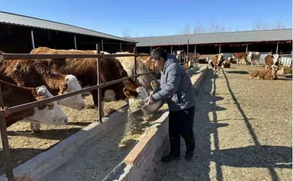 看巴林左旗走上科技引领乡村振兴之路