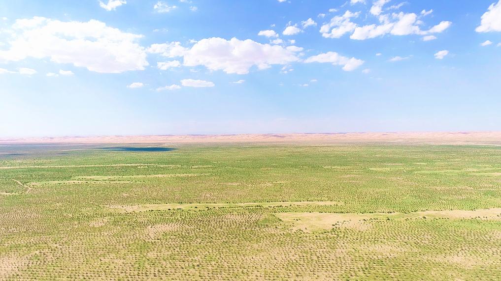 2023年内蒙古阿拉善盟飞播造林逾20万亩