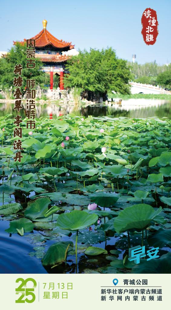 荷塘叠翠 亭阁流丹 内蒙古呼和浩特市