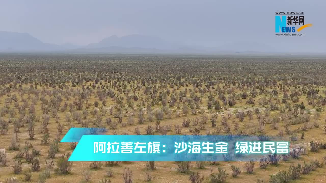 沙海生金 绿进民富
