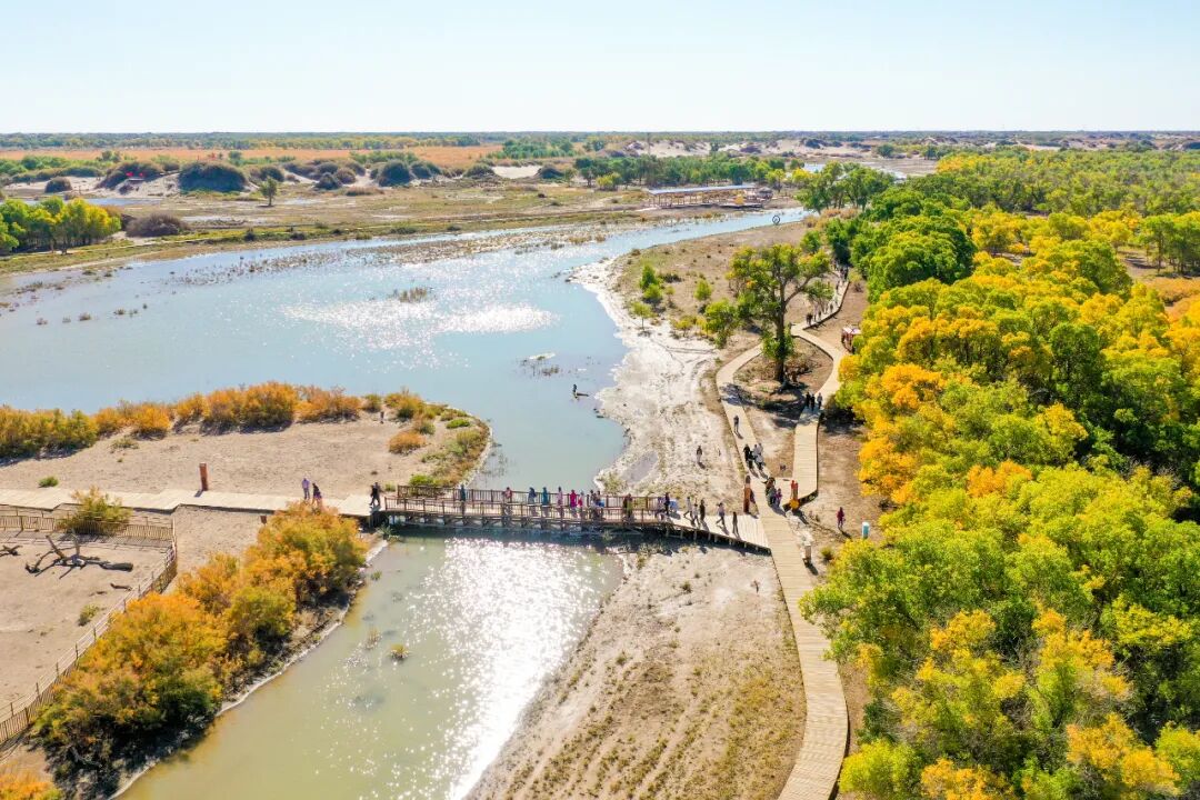 双节临近 额济纳旅游市场升温
