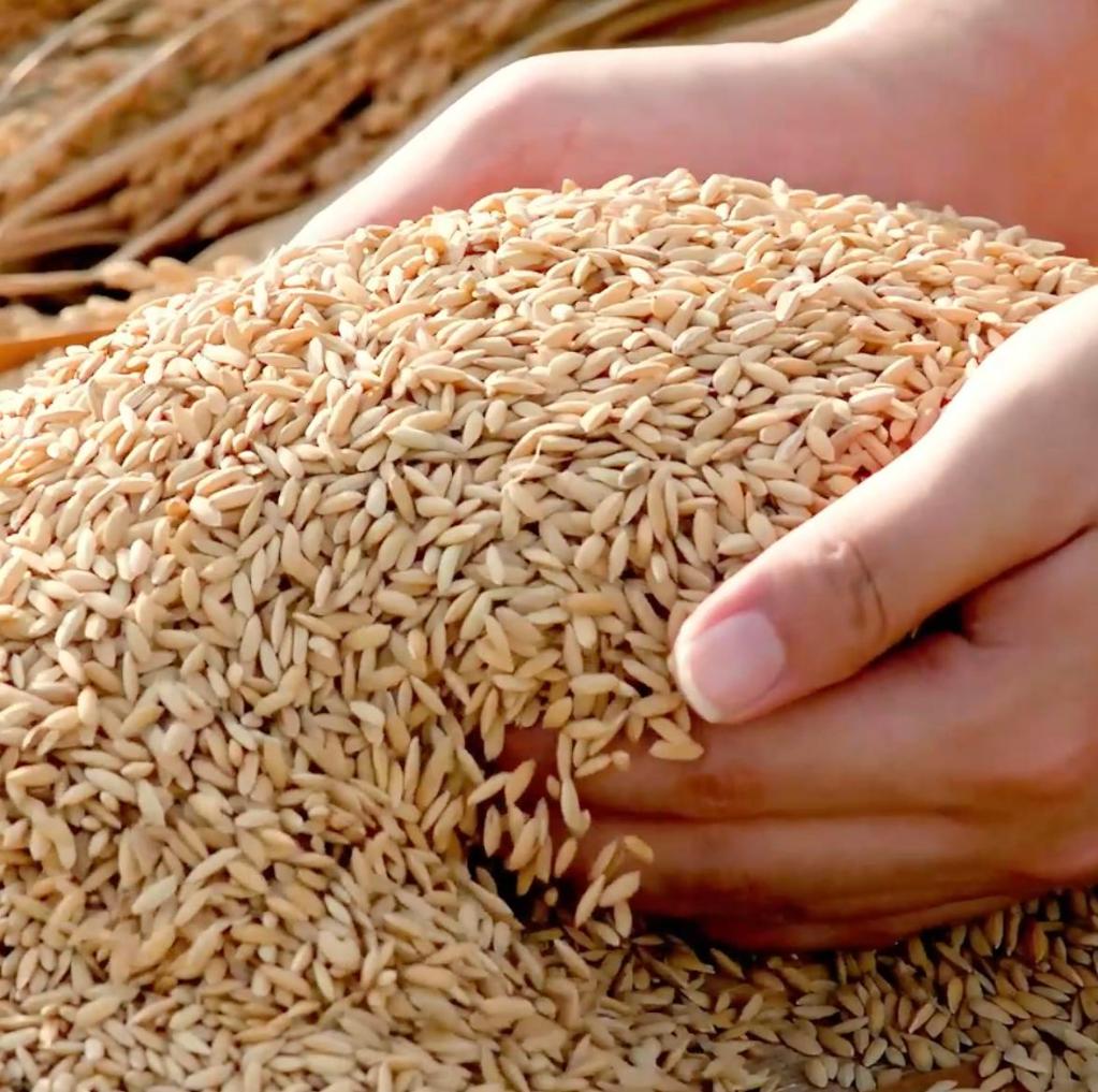 节约粮食反浪费在公共机构蔚然成风