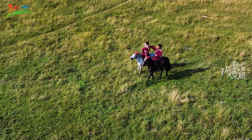 内蒙古规范汉字听写大赛决赛举行