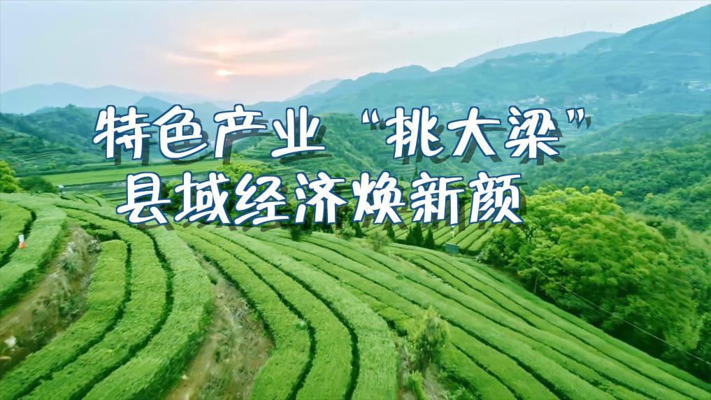 新华视点｜特色产业“挑大梁” 县域经济焕新颜