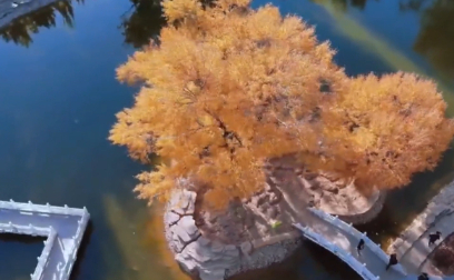 乌兰察布供电公司：新员工“三十日淬炼”收官 青春动能启航新征程