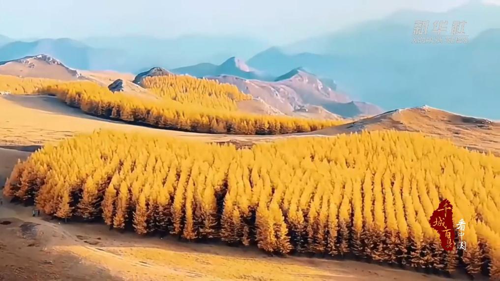 内蒙古：秋日里的琥珀流光