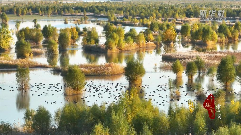 内蒙古：来乌海赏斑斓秋色