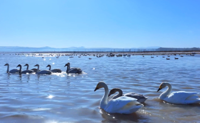 飞“阅”中国丨冬雪·天鹅湖