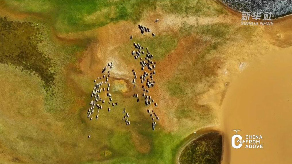 内蒙古：四季乌审