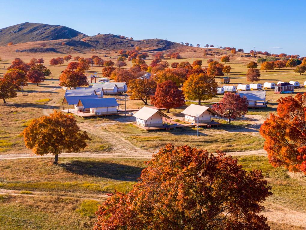 映在五角枫林里的京蒙协作情