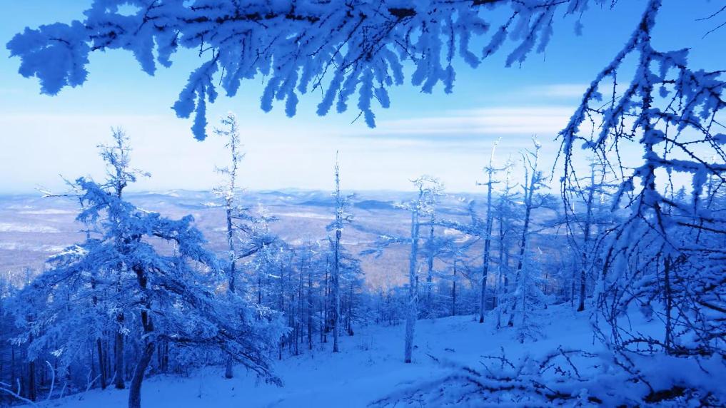 诺敏之巅 雾凇秘境