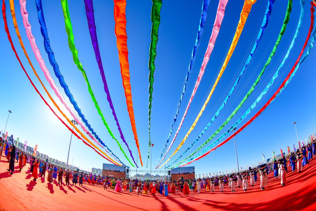 千峰骆驼大比拼！阿拉善驼超联赛火热开赛