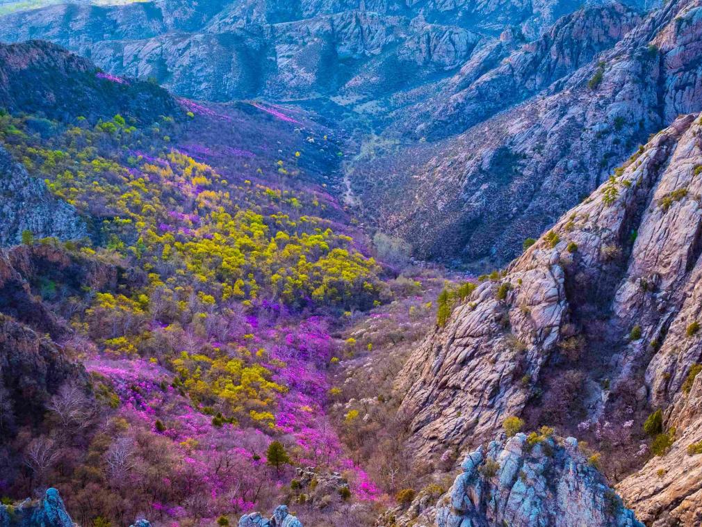 林西百里山水绘 邀约共赴“西游季”