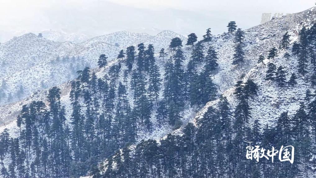 内蒙古：半山白雪半山青