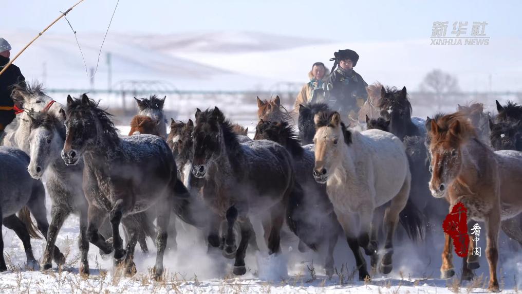 雪原藏盛景 马背竞豪情