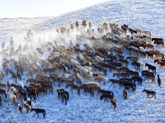 马蹄踏雪处，马年话马魂——马年走进“中国马都”