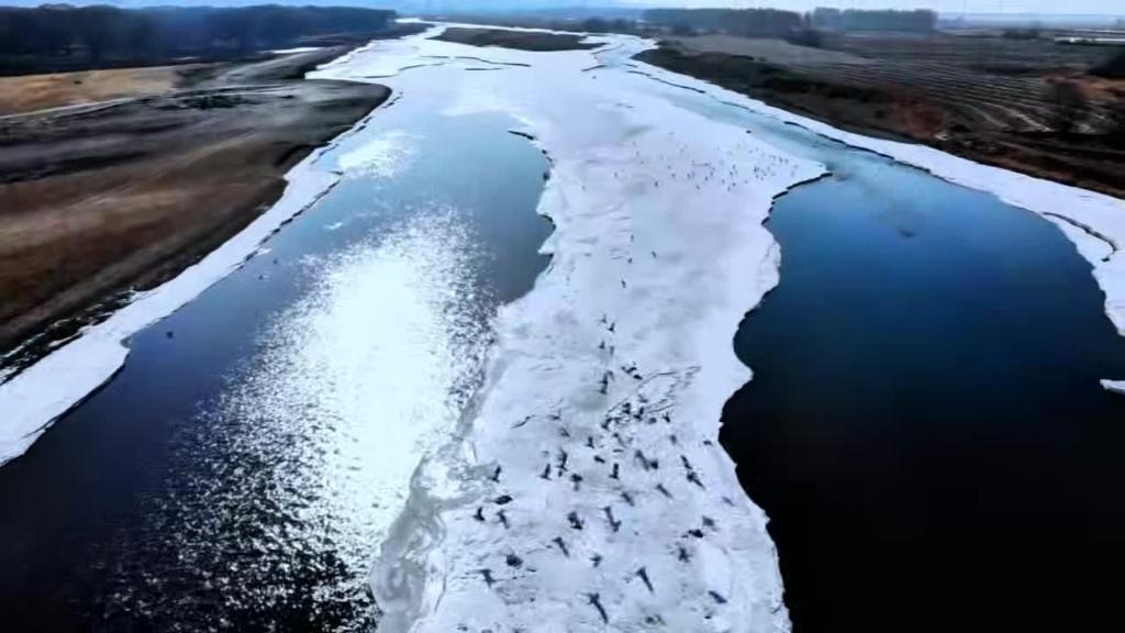 春雪初融 春水初生