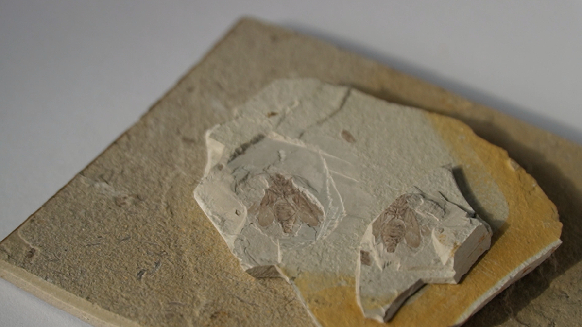 创新解锁营养密码 品质守护人间烟火