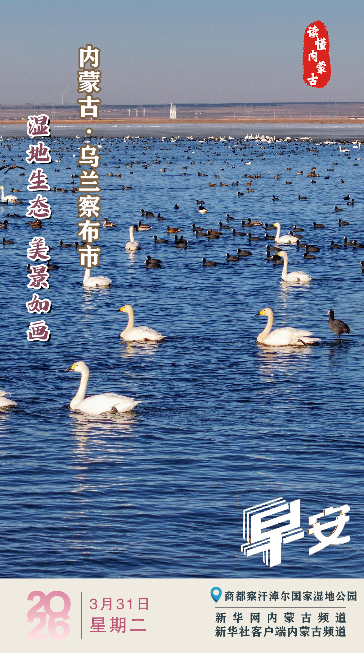 读懂内蒙古｜湿地生态 美景如画 乌兰察布市