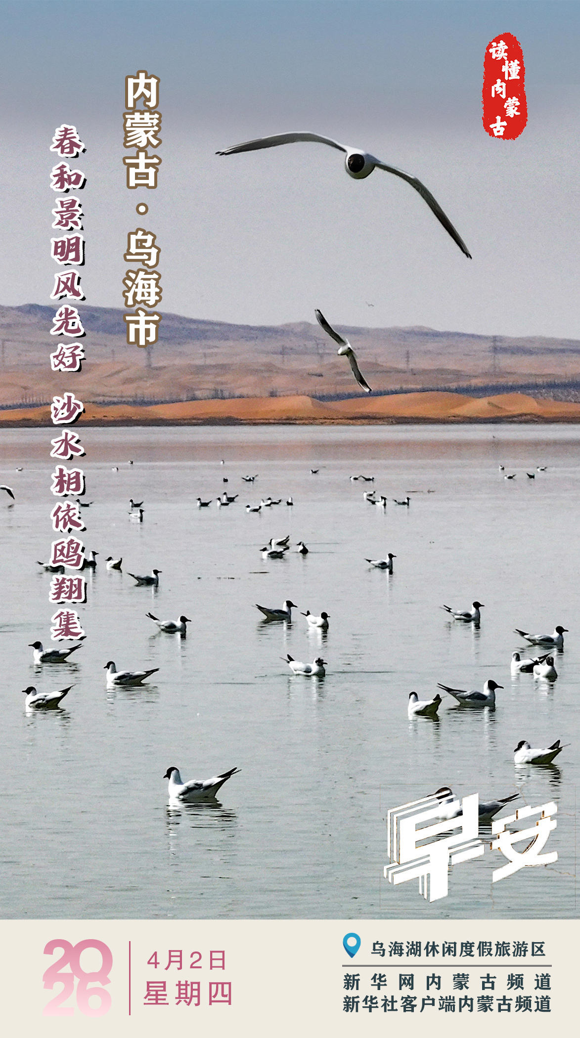 春和景明风光好 沙水相依鸥翔集 内蒙古乌海市