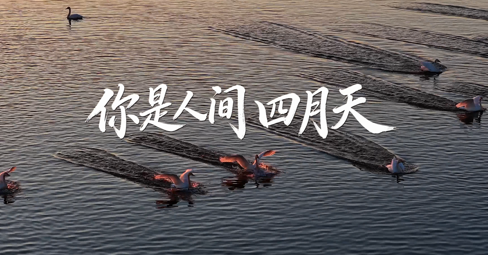 你是人间四月天