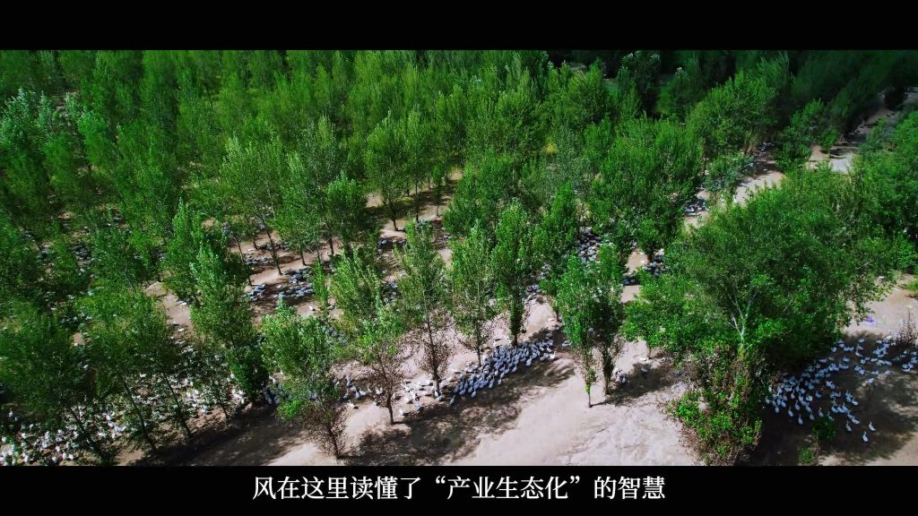 风知道答案