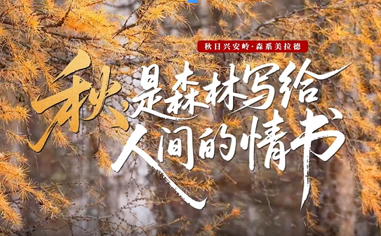 秋是森林写给人间的情书