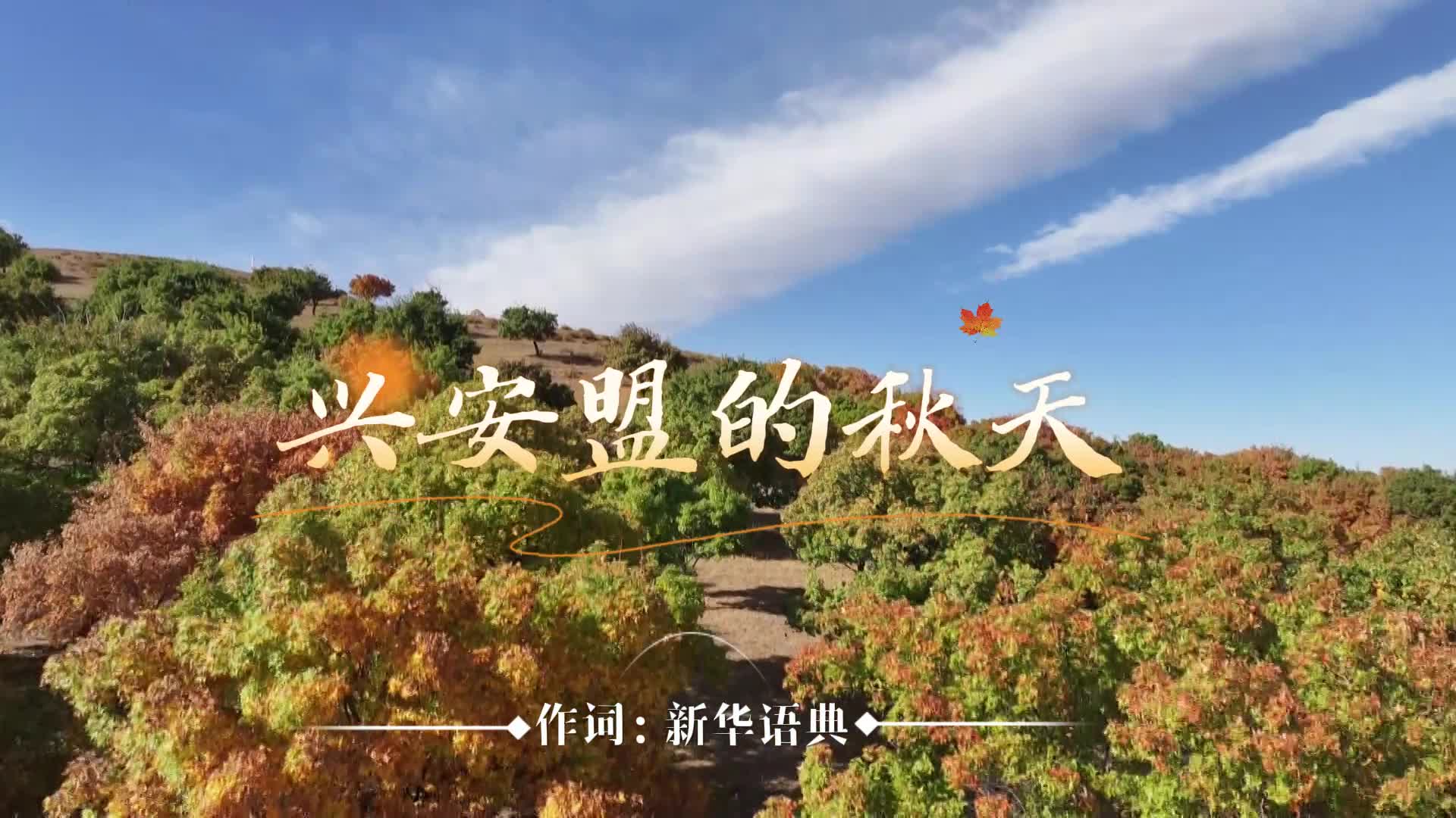 兴安盟的秋天