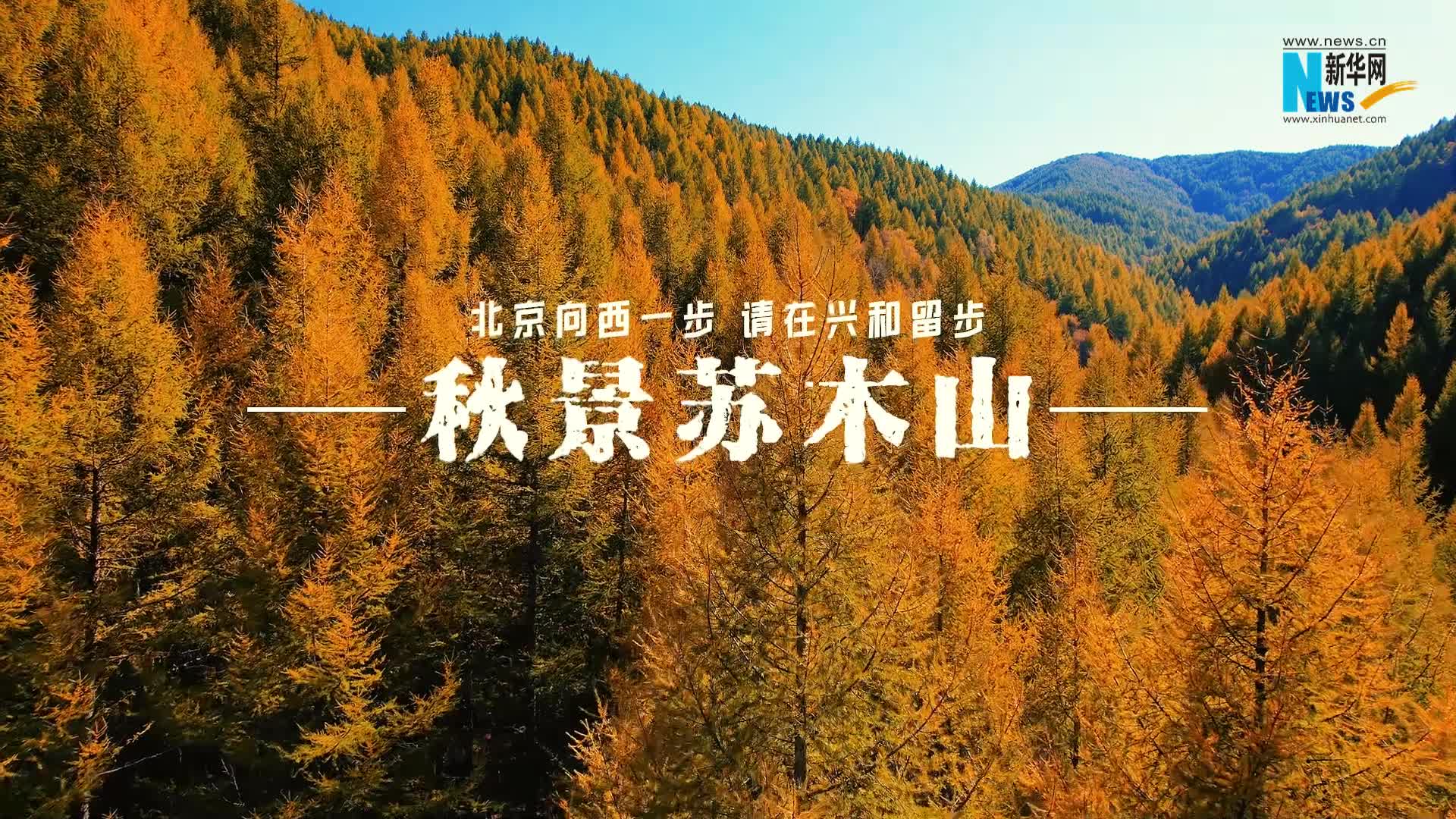 秋景苏木山