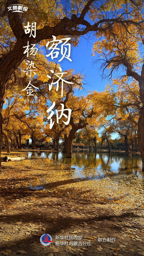 文旅新探｜胡杨染金额济纳
