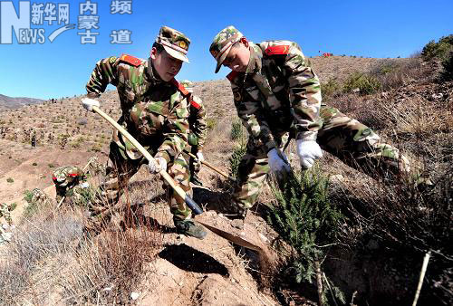 义务植树 绿化山川