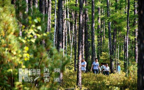 “天保工程”为大兴安岭林区奠定百年生态基础